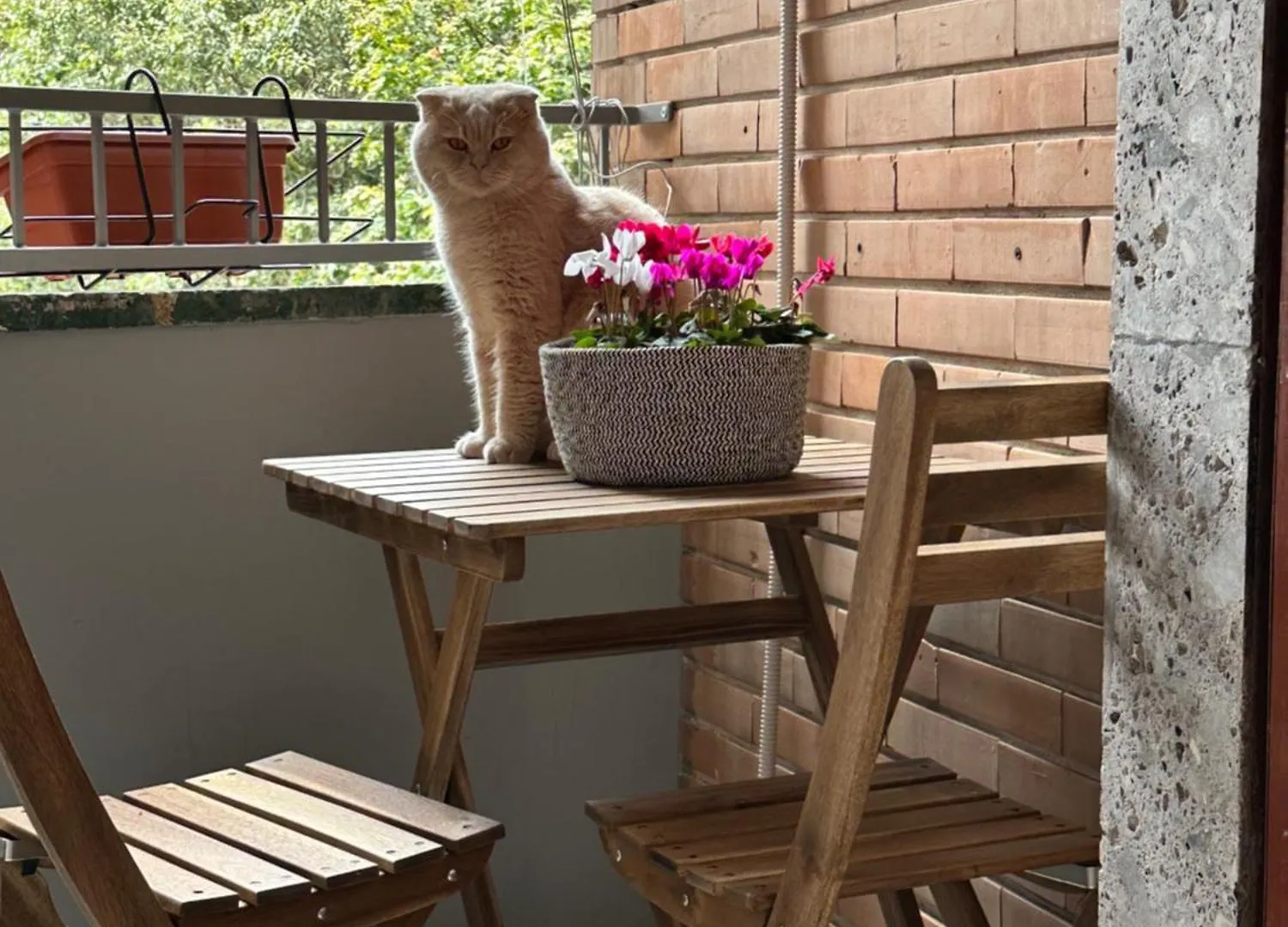 Guest house Kittens House Hotel Milan